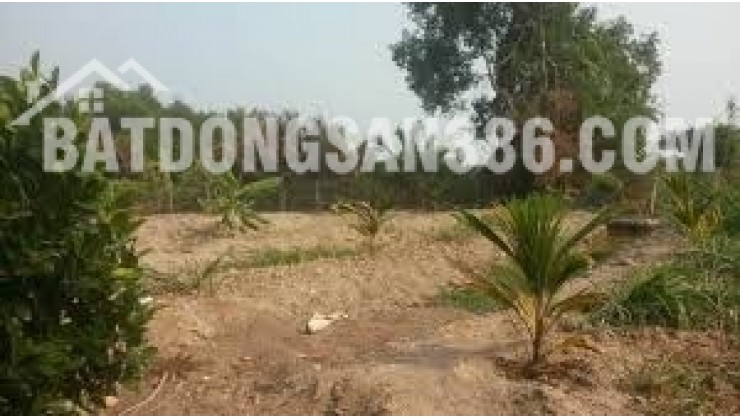 Đất 8x30m gần Tỉnh lộ 835 – hạ tầng hoàn chỉnh, thích hợp ở nghĩ dưỡng